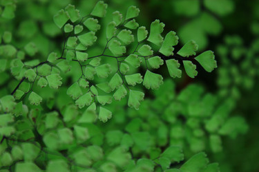 Similar image 2662935