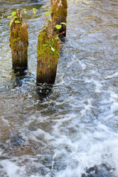 Similar image 2662959