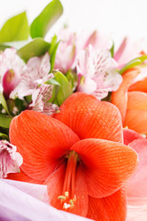 Similar image 2662977