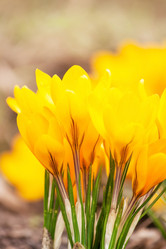 Similar image 2662993