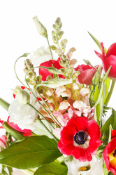 Similar image 2663034