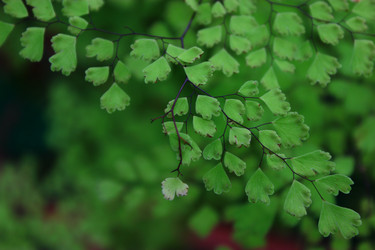 Similar image 2663118