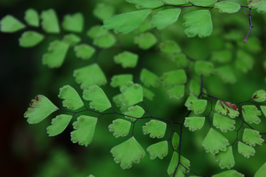 Similar image 2663120