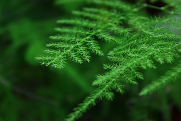 Similar image 2663121