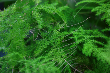 Similar image 2663123