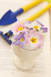 Similar image 2663134