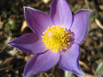 Similar image 2663347