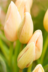 Similar image 2663349