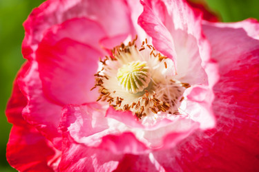 Similar image 2663369