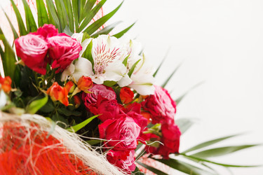 Similar image 2663372