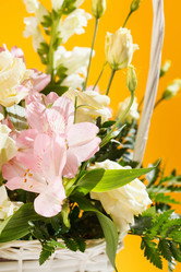 Similar image 2663374