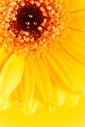 Similar image 2663386