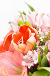 Similar image 2663389