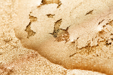 Similar image 2663433