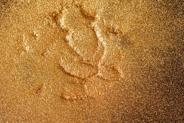 Similar image 2663444