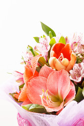 Similar image 2663461