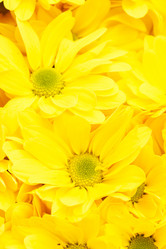 Similar image 2663463