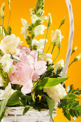 Similar image 2663464