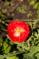 Similar image 2663467