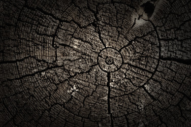 Similar image 2665981