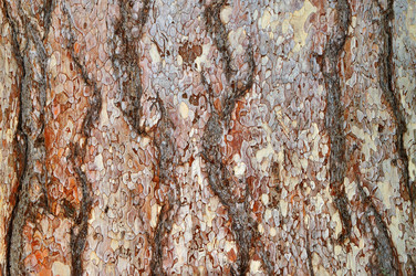 Similar image 2665993