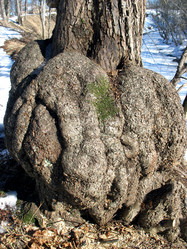 Similar image 2675659