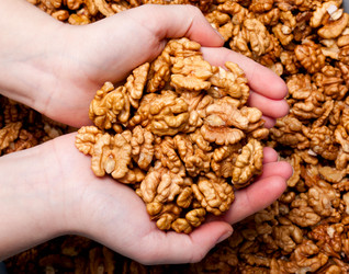 Similar image 2675850