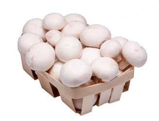 Similar image 2675857