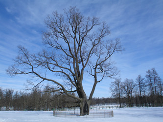 Similar image 2676087