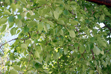 Similar image 2676293