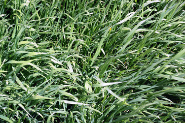 Similar image 2676294