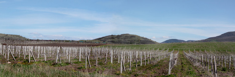 Similar image 2676392