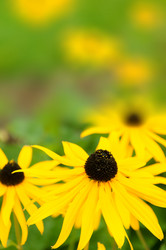 Similar image 2677020