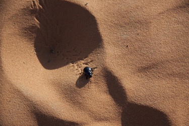 Similar image 2677047