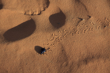 Similar image 2677049