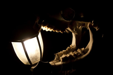 Similar image 2677059