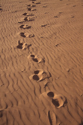 Similar image 2677062