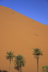 Similar image 2677066