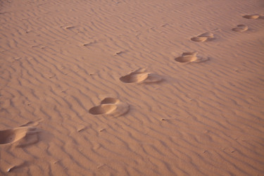 Similar image 2677067