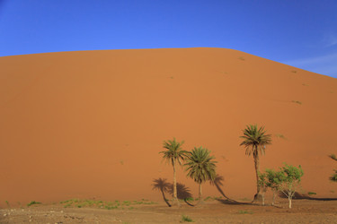 Similar image 2677069