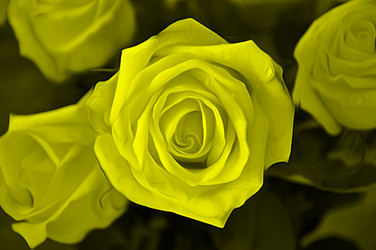 Similar image 2677102