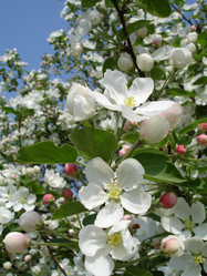 Similar image 2677395