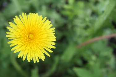 Similar image 2677429