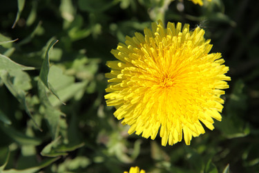 Similar image 2677432