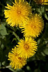 Similar image 2677433