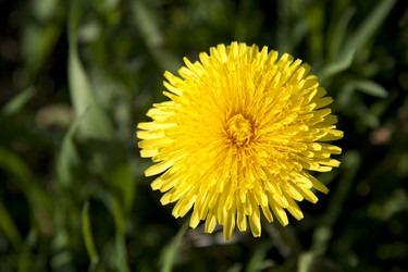 Similar image 2677434