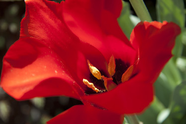 Similar image 2677455