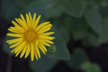 Similar image 2677456