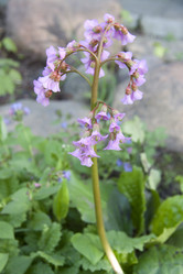 Similar image 2677461