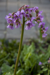 Similar image 2677463